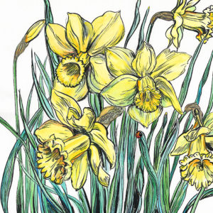 daffodils and a ladybird, spring painting