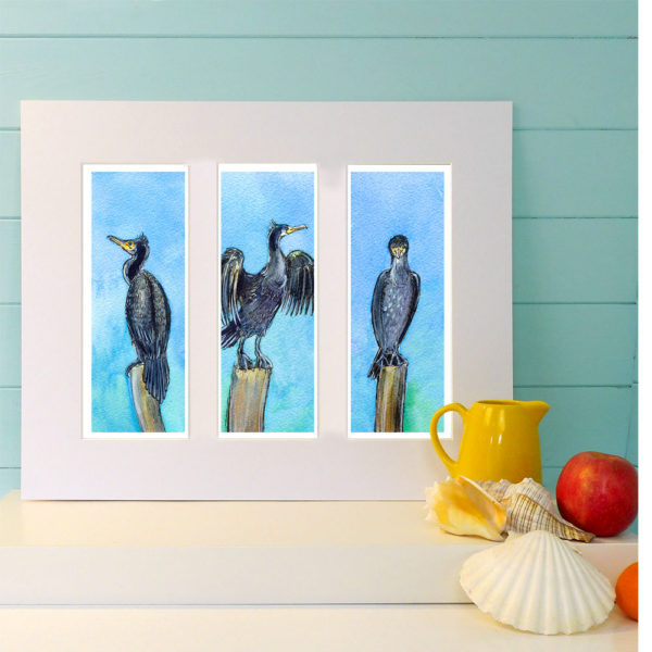 Three cheeky pictures of a cormorant on the Isle of Wight with a bright blue background