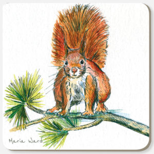 197 red squirrel, coaster,isle of wight, IOW, seaside, staycation, holiday,