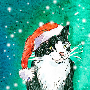 122 christmas cat, cat in a hat, isle of wight, IOW