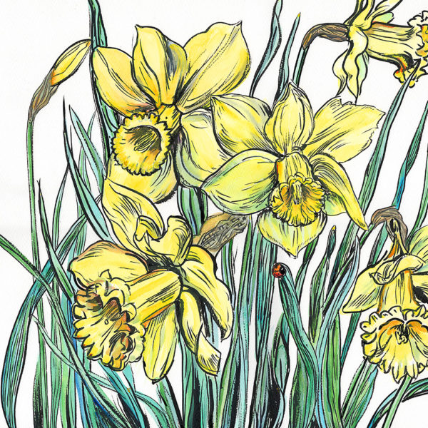 daffodils and a ladybird, spring painting